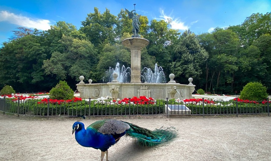 Campo Grande